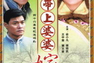 带上婆婆嫁 电视剧,带上婆婆嫁的幸福生活